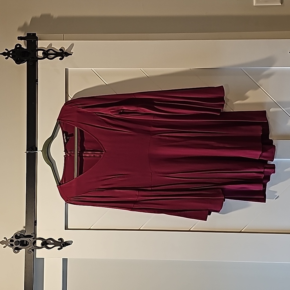 EXPRESS Wine red fit and flare dress
